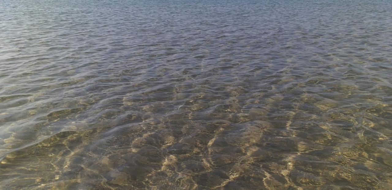 Green Sea Bed & Breakfast Elena Marina ภายนอก รูปภาพ
